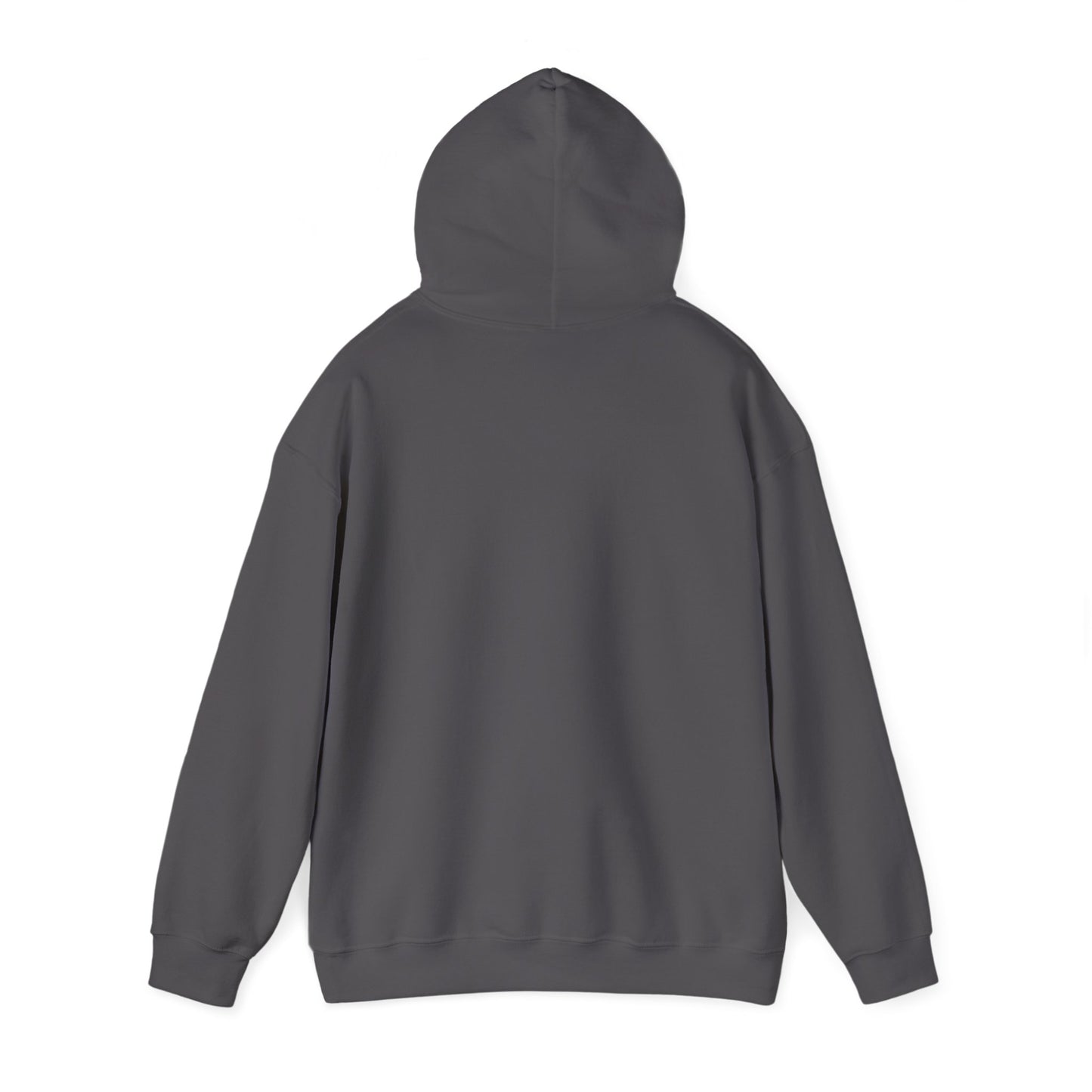 Faith over Fear Chiari Blend™ Hooded Sweatshirt